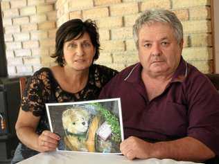 TEDDY: Rosa and Alf Scuderi with an image of the bear Hope that was raffled to help fundraise. Picture: Liana Walker