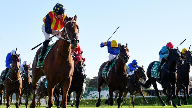 Nature Strip was a cut above his opposition in the TJ Smith Stakes. Picture: AAP