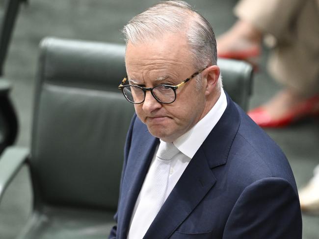 Anthony Albanese played down the Chinese action. Picture: Martin Ollman