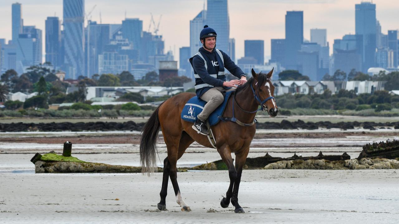 Zaaki is the favourite for the $5m race. Photo by Vince Caligiuri/Getty Images