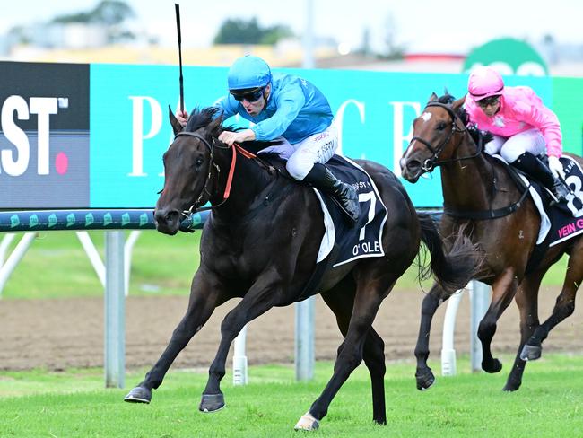 Tommy Berry steers O'Ole to victory in the Magic Millions 2YO Picture: Grant Peters