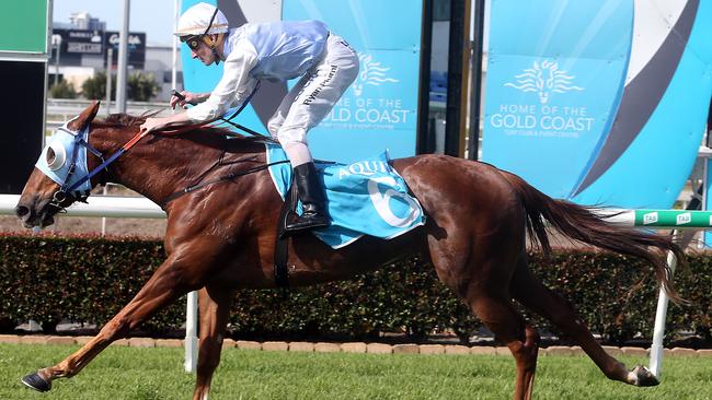 Racing at Aquis Park Gold Coast Turf Club. Photo by Richard Gosling