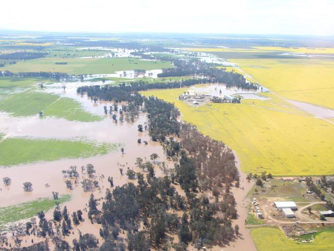 NSW floods: Forbes residents ordered to evacuate as Lachlan River ...