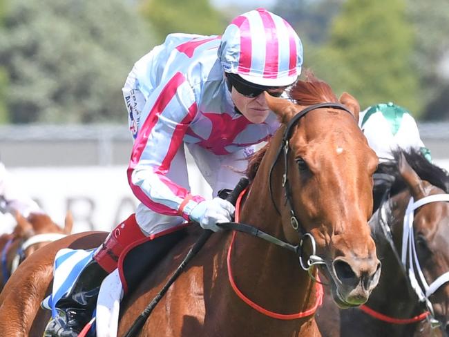 Mrs Chrissie (NZ) ridden by Craig Williams wins the Ballarat Volkswagen Tonks Plate at Sportsbet-Ballarat Racecourse on December 07, 2024 in Ballarat, Australia. (Photo by Brett Holburt/Racing Photos via Getty Images)