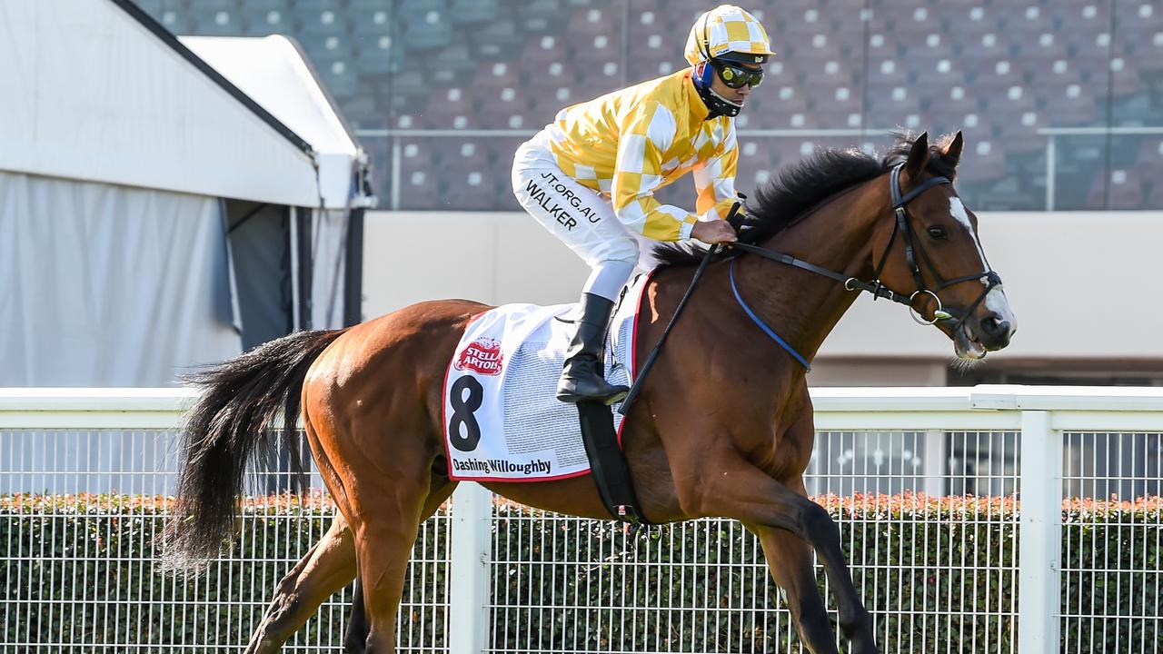 Stella Artois Caulfield Cup