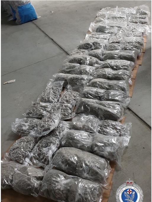 Police allege 145kg of cannabis was discovered on August 19, 2021, at a Queensland border checkpoint.