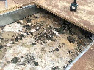 Mould found on demountable buildings at the RHH in April. Picture: SUPPLIED