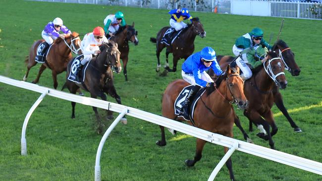 Bivouac held off Yes Yes Yes and Exceedance to win the Golden Rose. Picture: Getty Images