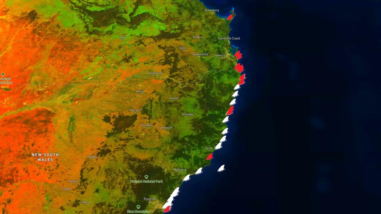 Interactive map reveals truth about sharks in Australia | news.com.au