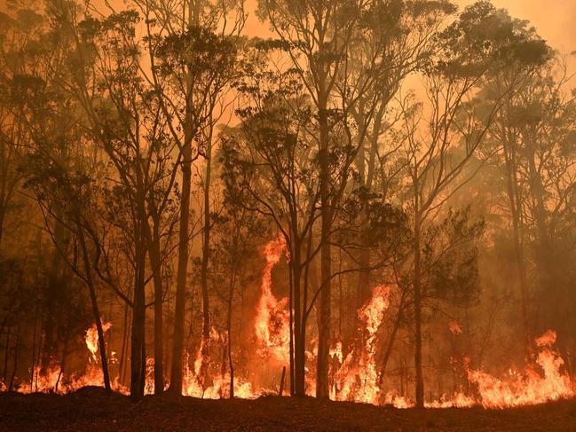 TOPSHOT - A bushfire burns in the town of Moruya, south of Batemans Bay, in New South Wales on January 4, 2020. - Up to 3,000 military reservists were called up to tackle Australia's relentless bushfire crisis on January 4, as tens of thousands of residents fled their homes amid catastrophic conditions. (Photo by PETER PARKS / AFP)