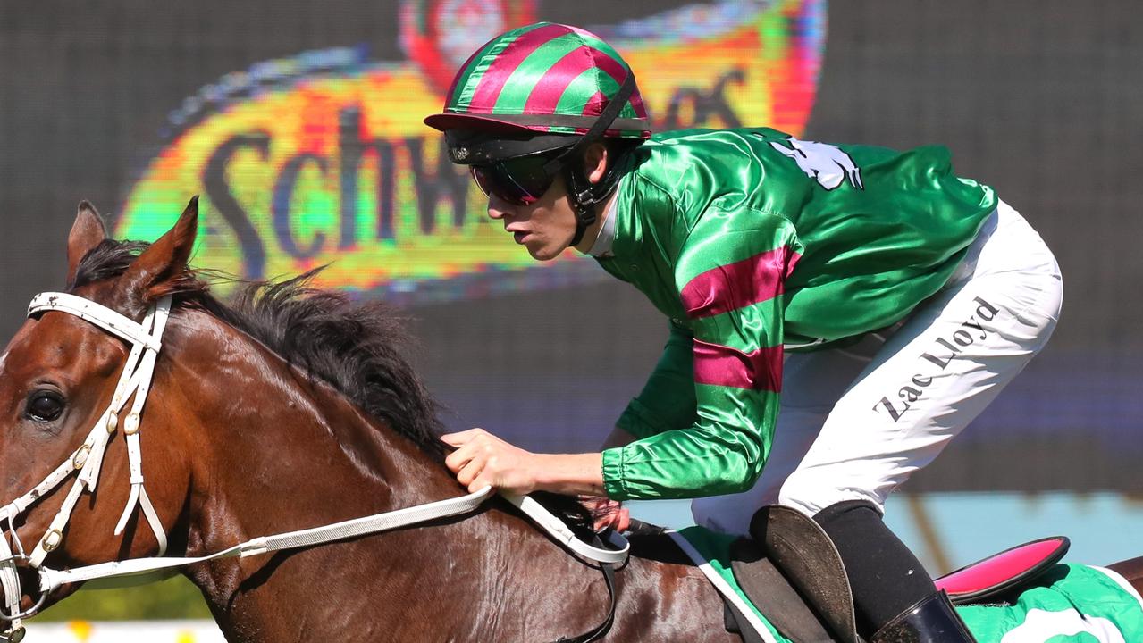 Zac Lloyd has a good book of rides at Wyong on Thursday. Picture: Getty Images