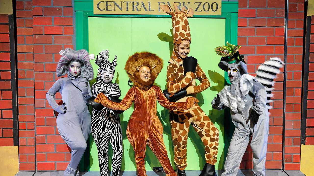 Zoo animals take over the Pilbeam Theatre in school musical | The ...