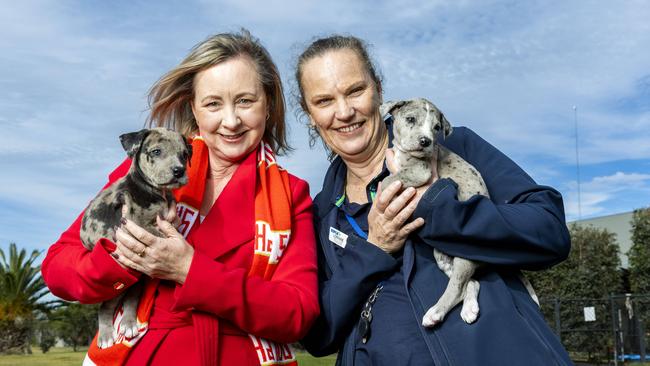 Prevention of Domestic and Family Violence Minister Yvette D’Ath and the RSPCA’s Lorraine English. Picture: Richard Walker