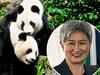 Bye bye Wang Wang and Fu Ni: Giant change for Adelaide’s pandas