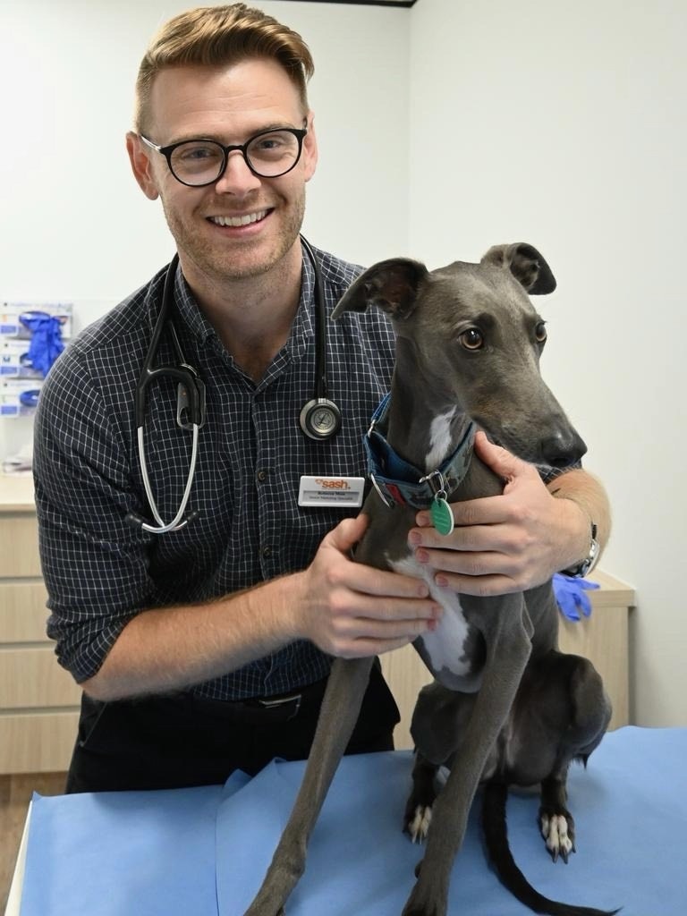 SASH emergency vet Dr Tim Hopkins. Picture: Supplied