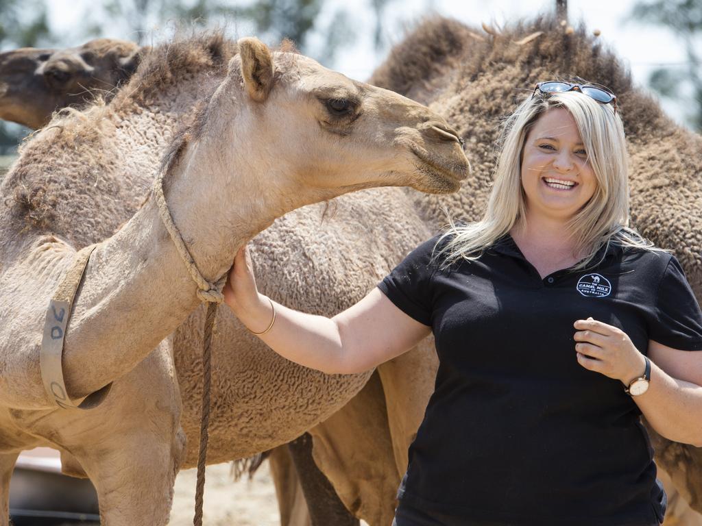 Research into camel milk qualities for people with type 2 diabetes | The  Weekly Times
