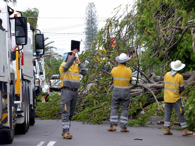 Energex personal work to restore power on Osbourne St Scarborough after a tree fell onto powerlines, Scarborough. Picture: Steve Pohlner