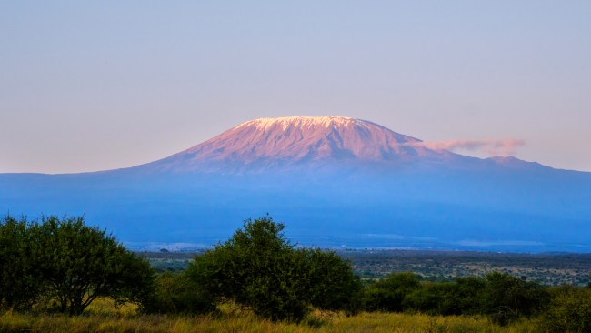 ‘Life-changing’ women’s only safari worth every cent