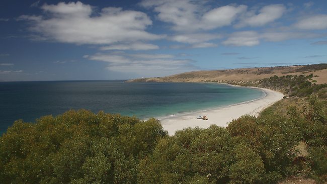 Kangaroo Island marine sanctuary