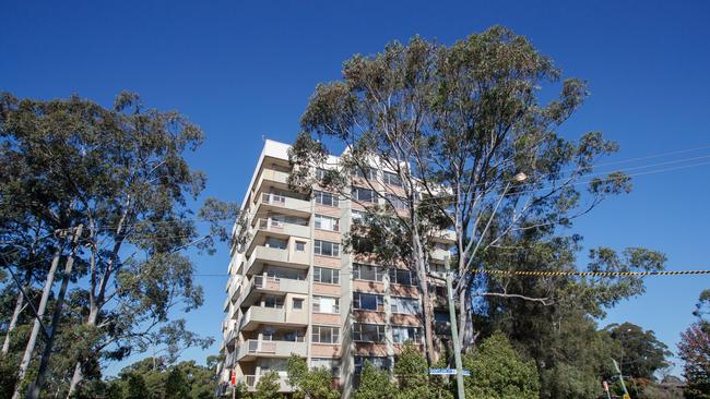 A housing commission tower in Telopea. Picture: Tim Pascoe