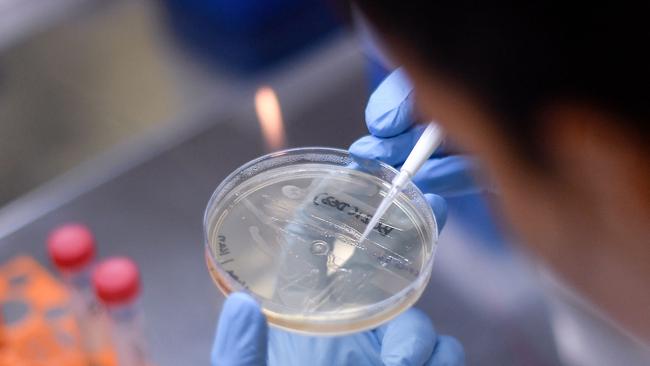 A researcher works on the development of a vaccine against the new coronavirus COVID-19, in Belo Horizonte, state of Minas Gerais, Brazil. Picture: Douglas Magno/AFP