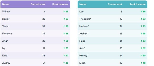 The names with the biggest rise between 2010 and 2020. Picture: McCrindle