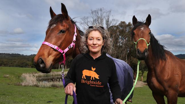 Emma Haswell with Ziggy at front and Dolly who are both former race horses rescued and now living at Brightside Farm Sanctuary in the Huon Valley. Picture: Nikki Davis-Jones