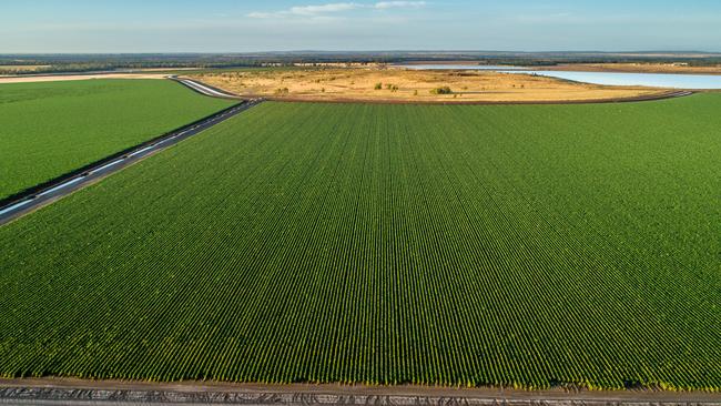 The 3262ha Kingower aggregation has been sold to a Queensland farming family.