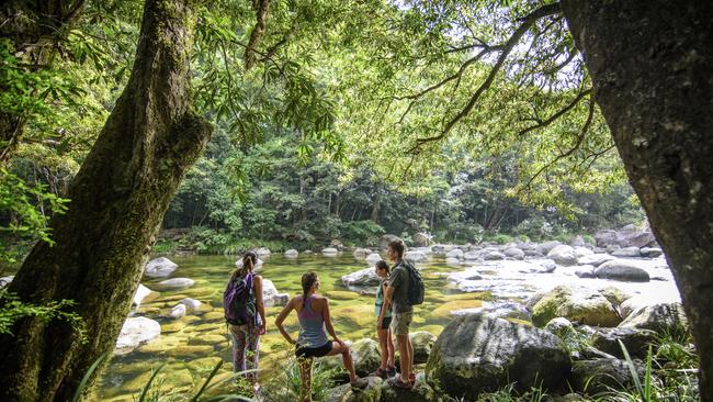 Mossman River FNQ Nature Tours, Queensland Photo - FNQ Nature Tours Escape 20 February 2022 Wildlife encounters HOTLIST