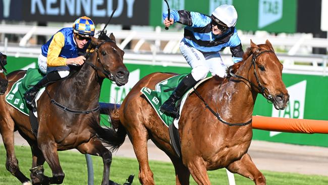 Smokin' Romans meets some of the criteria of the Bart Cummings blueprint for the Melbourne Cup. Picture: Getty Images