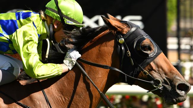 Jamie Kah produced a cool ride on Belwazi in the Kensington Stakes. Picture: AAP 