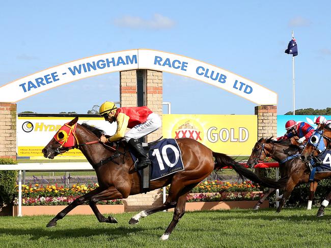 Locally-trained Another Valley wins the Country Championships Qualifier at Taree with Grant Buckley in the saddle. Picture by Peter Lorimer