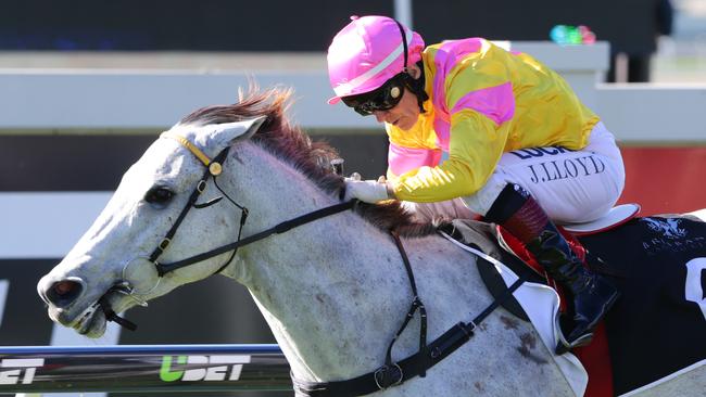 Jeff Lloyd cruises to victory on Dame Destiny. Picture: Darren England.