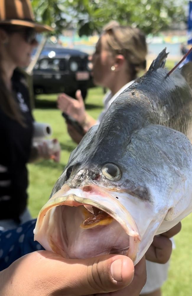 The prize winning fish, measuring 62cm, was caught off the rocks at Stokes Hill Wharf. Picture: Annabel Bowles