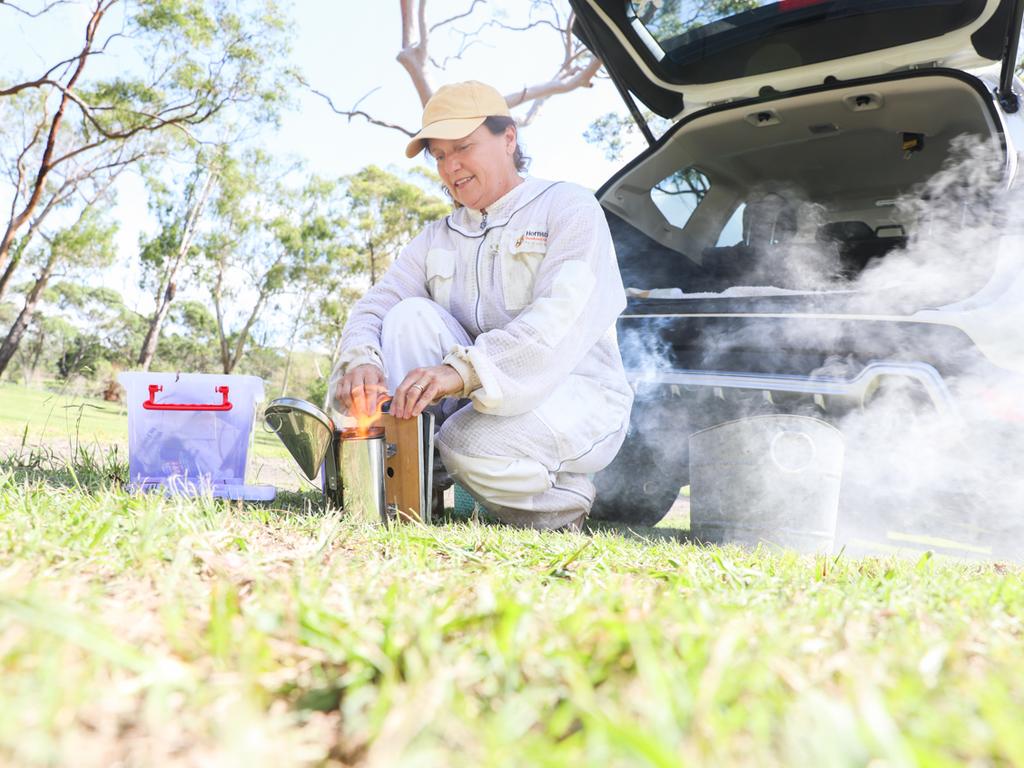 Smoke helps to calm the bees down. Picture: Renee Nowytarger.