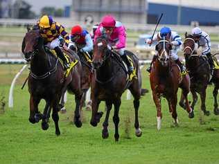 IN ACTION: Jockey Michael Hellyer rides Baccarat Baby to win race at Doomben Racecourse in Brisbane last year. Picture: GRANT PETERS