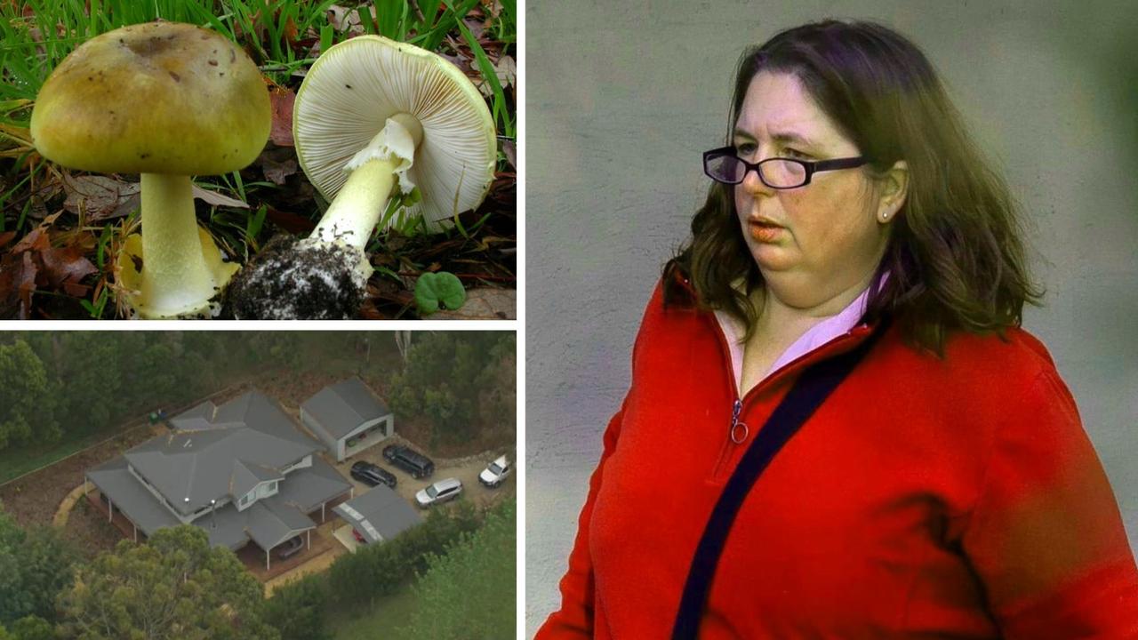 Erin Patterson trial: Forensic tests linked urine sample to deadly mushrooms