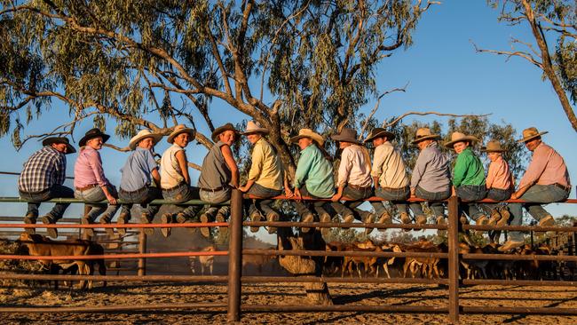 Line them up: Alice Mabin has travelled Australia photographing agricultural industries. Picture: Alice Mabin