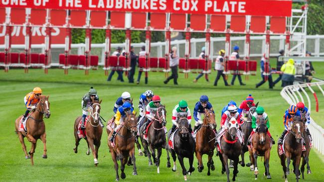 The Cox Plate jostle for position down the straight for the first time. Picture: Jay Town