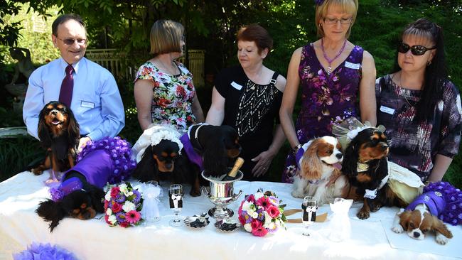 A double dog wedding held at Leonay.