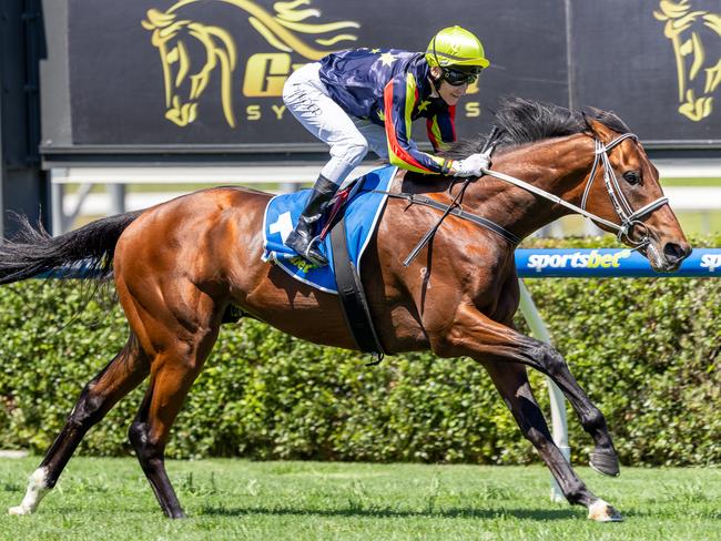 Goldrush Guru, ridden by Jason Holder, wins the Hill Smith Stakes in 2024. Picture: Makoto Kaneko