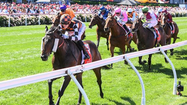 Baraqiel ridden by Ben Allen wins the Mittys McEwen Stakes at Moonee Valley Racecourse on October 26, 2024 in Moonee Ponds, Australia. (Photo by Brett Holburt/Racing Photos via Getty Images)