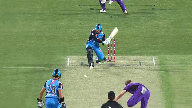 Adelaide Strikers opening bat Alex Carey could not believe this delivery was not called a wide.