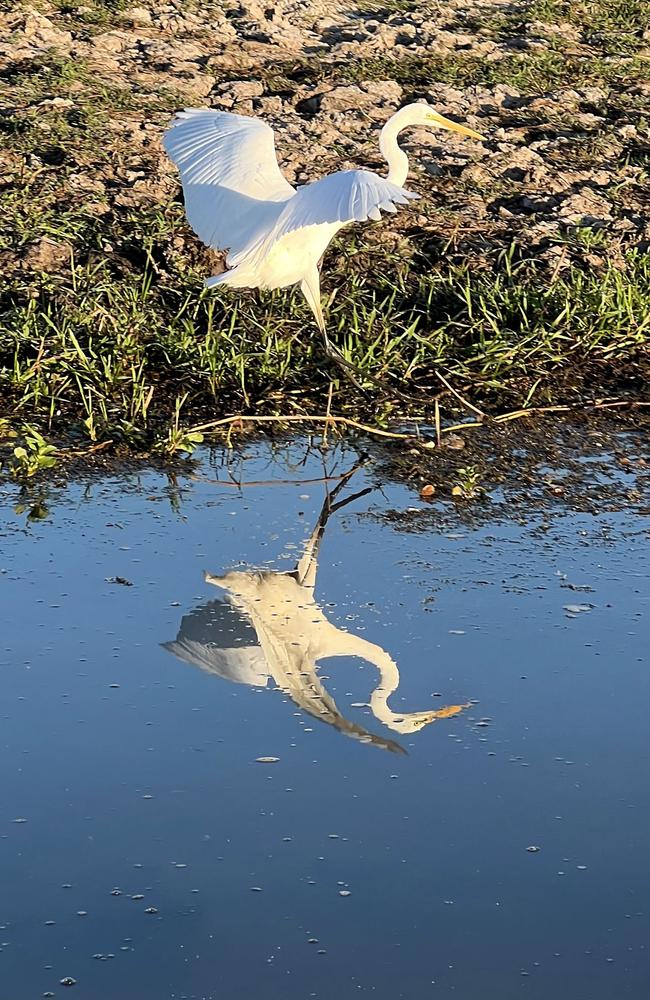 Birdwatching on a Yellow Water cruise. Picture: Fia Walsh