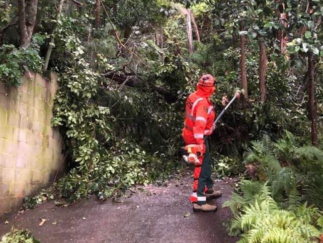 A driveway is blocked by fallen trees and shrubs. Picture: SES Pittwater/Warringah