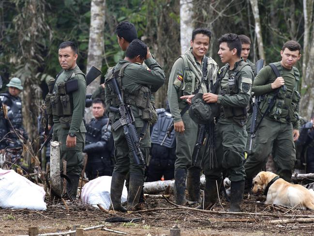 Colombia Police National Narcotics personnel in Tumaco (south west Colombia) during an irradication cocaine plantation operation. Picture Gary Ramage