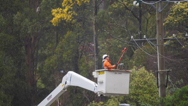 Electricity distribution companies are failing to keep up with clearing three years’ of regrowth that is clashing with powerlines.