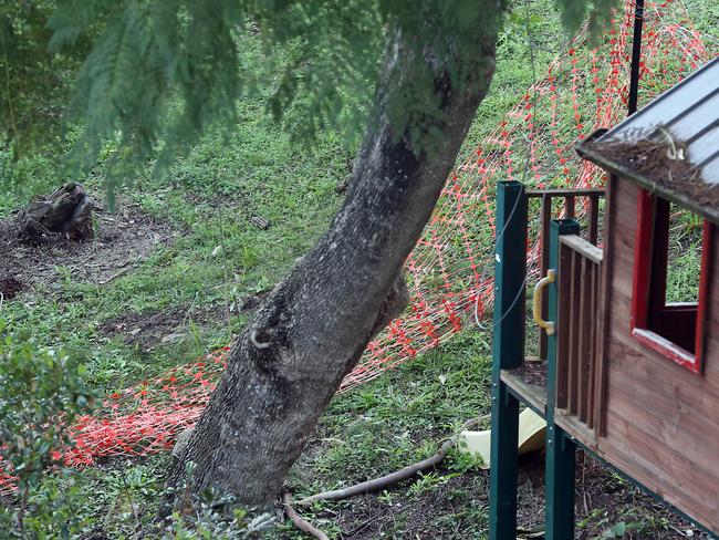 Bill McDonald said a 7m-long branch had fallen near his son James, 8, whose cubby house sits underneath the tree. Picture: AAP Image/Richard Gosling