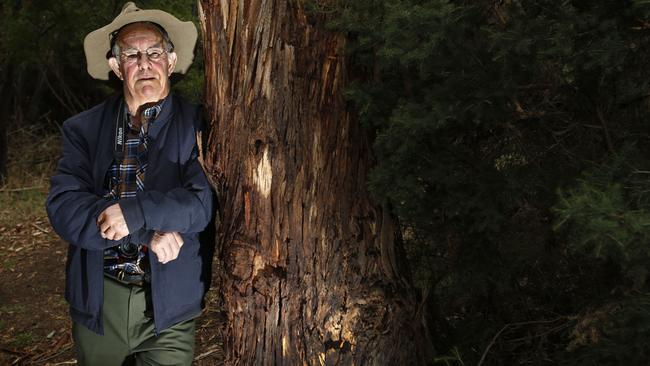 . TasWeekend cover story on thylacine author and "hunter" Col Bailey, who is convinced the Tassie tiger is not extinct because he believes he has had two sightings over the years, picture;KIM EISZELE