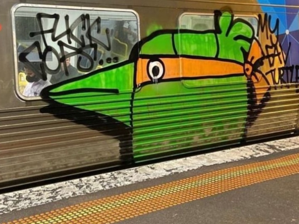 A ninja turtle-themed ‘Pam the Bird’ spotted on a train in Melbourne. Picture: Supplied